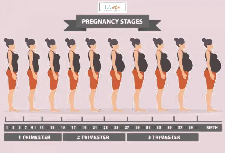 First Trimester (Weeks 1–12): Early Changes You Might Not Notice Mansfield